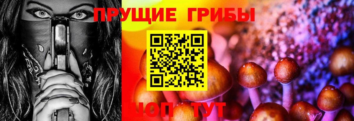 Галлюциногенные грибы ЛСД Урай